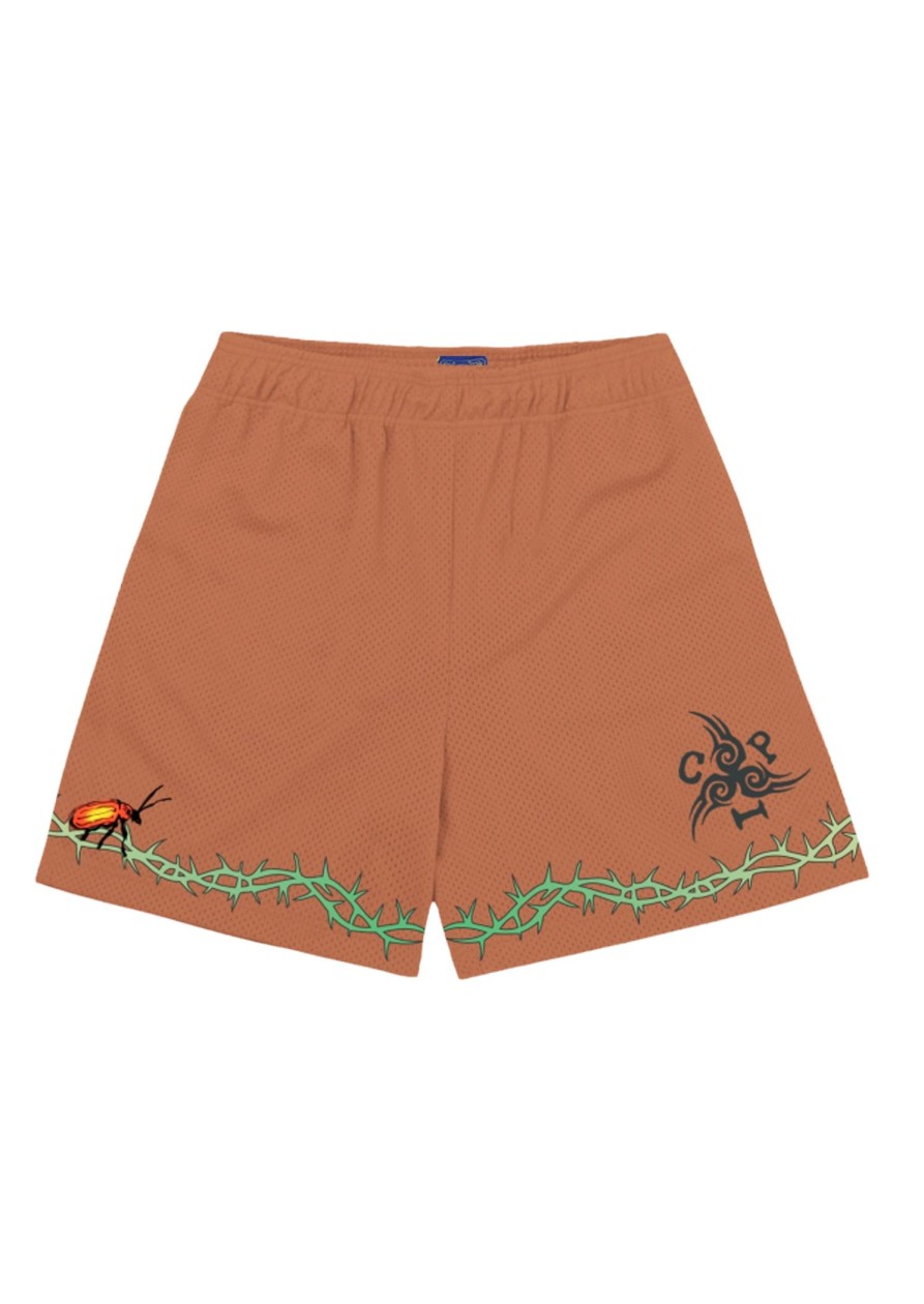 Men Coney Island Picnic | Vine Graphic Mesh Shorts Sunburn