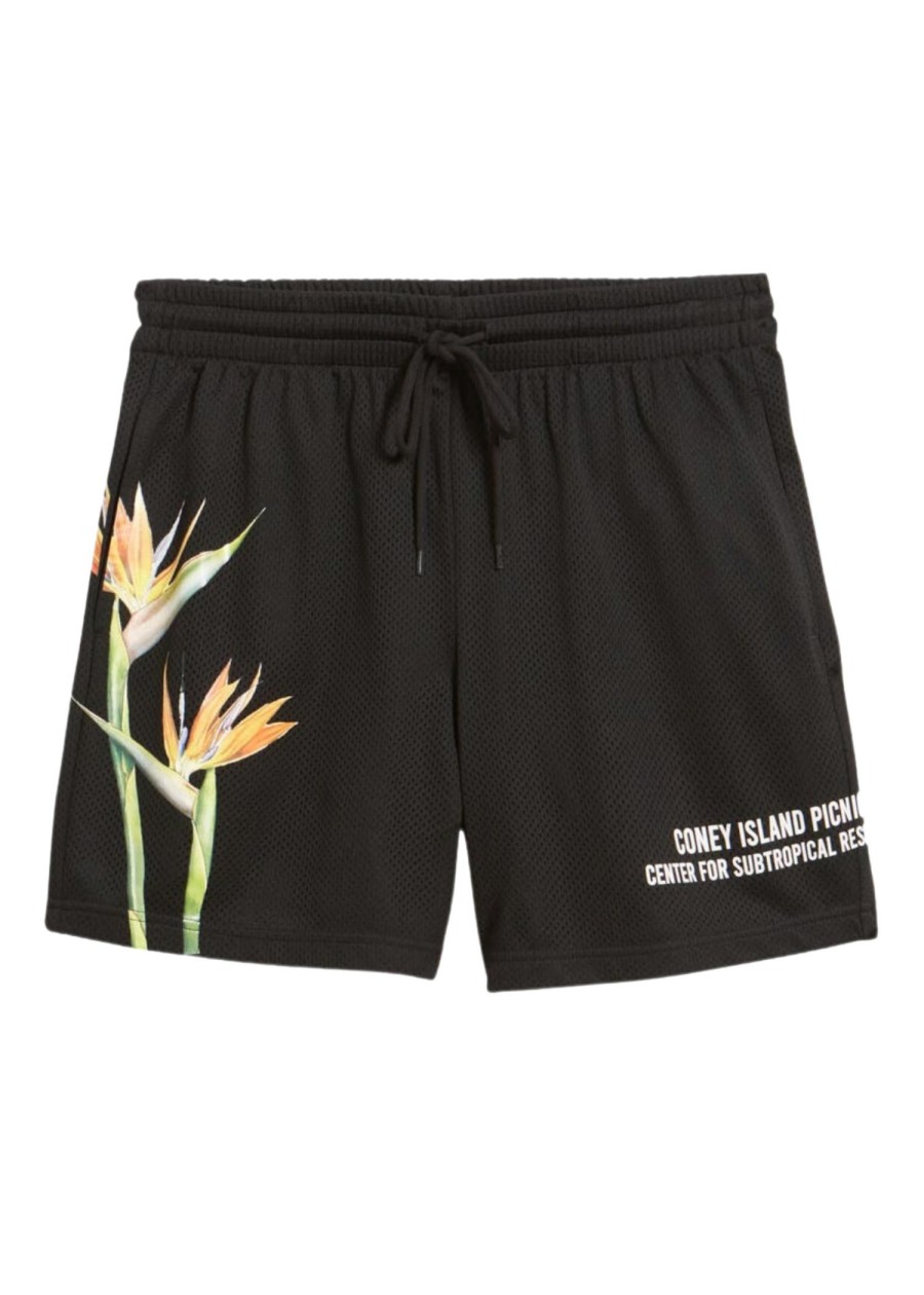 Men Coney Island Picnic | Paradise Graphic Mesh Shorts Black